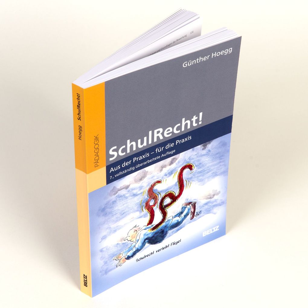 Weitere Ansicht: SchulRecht! | Günther Hoegg