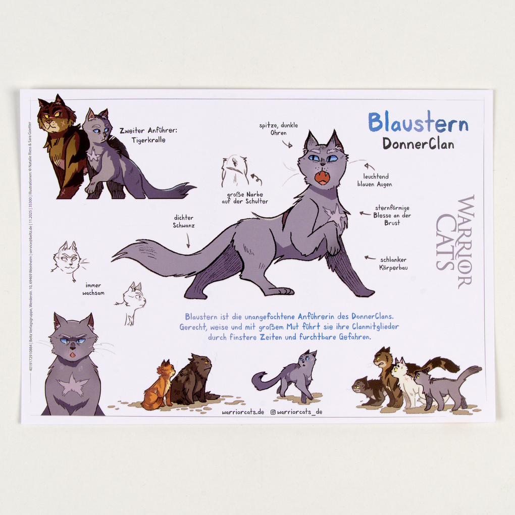 Weitere Ansicht: Warrior Cats - Die Prophezeiungen beginnen | Erin Hunter