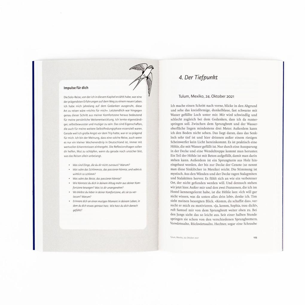 Weitere Ansicht: Fliegen lernen | Sophia Haberkorn