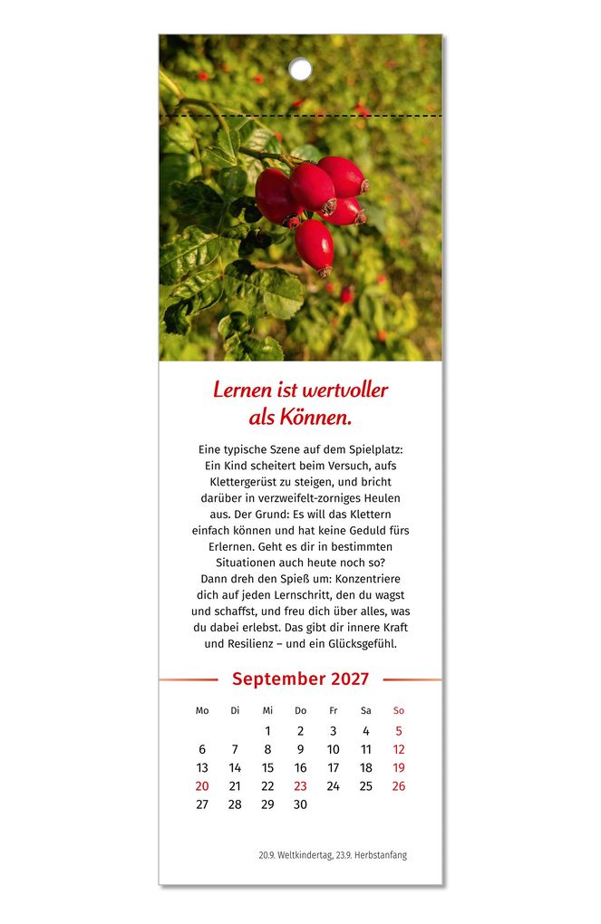 Weitere Ansicht: Der Lebensfreude-Lesezeichenkalender 2027 | Doris Wolf, Rolf Merkle, Maja Günther