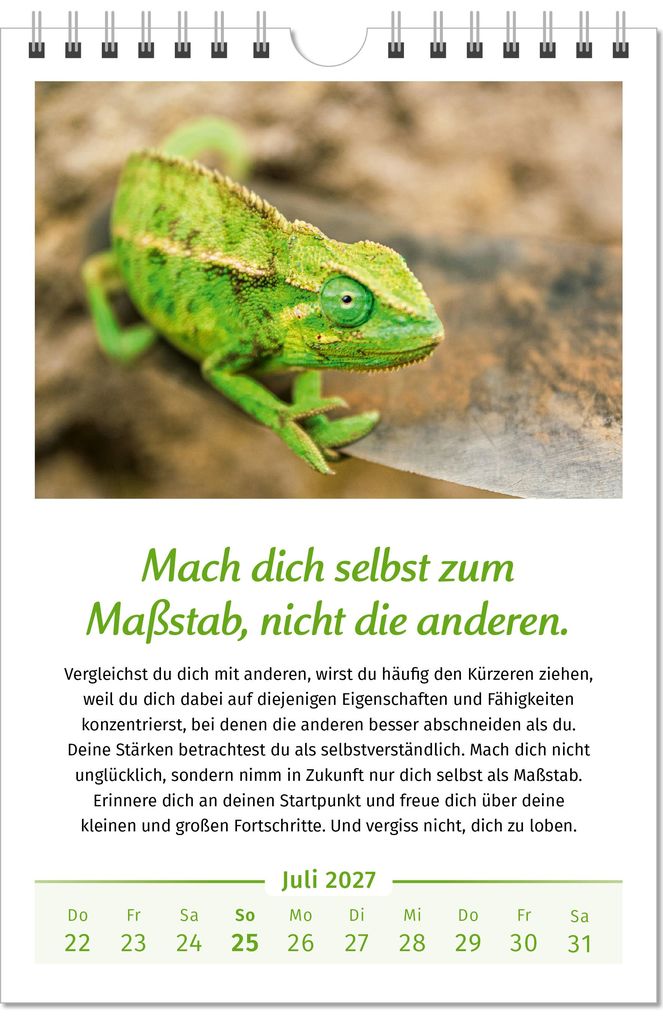 Weitere Ansicht: Der Lebensfreude-Kalender 2027 | Doris Wolf, Rolf Merkle, Maja Günther