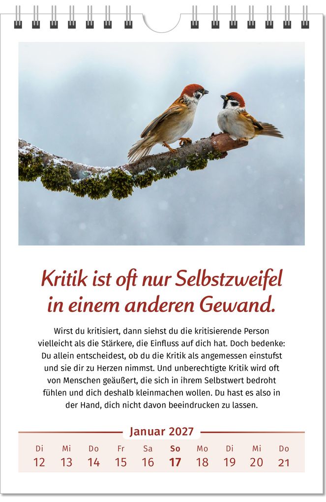Weitere Ansicht: Der Lebensfreude-Kalender 2027 im Großformat | Doris Wolf, Rolf Merkle, Maja Günther