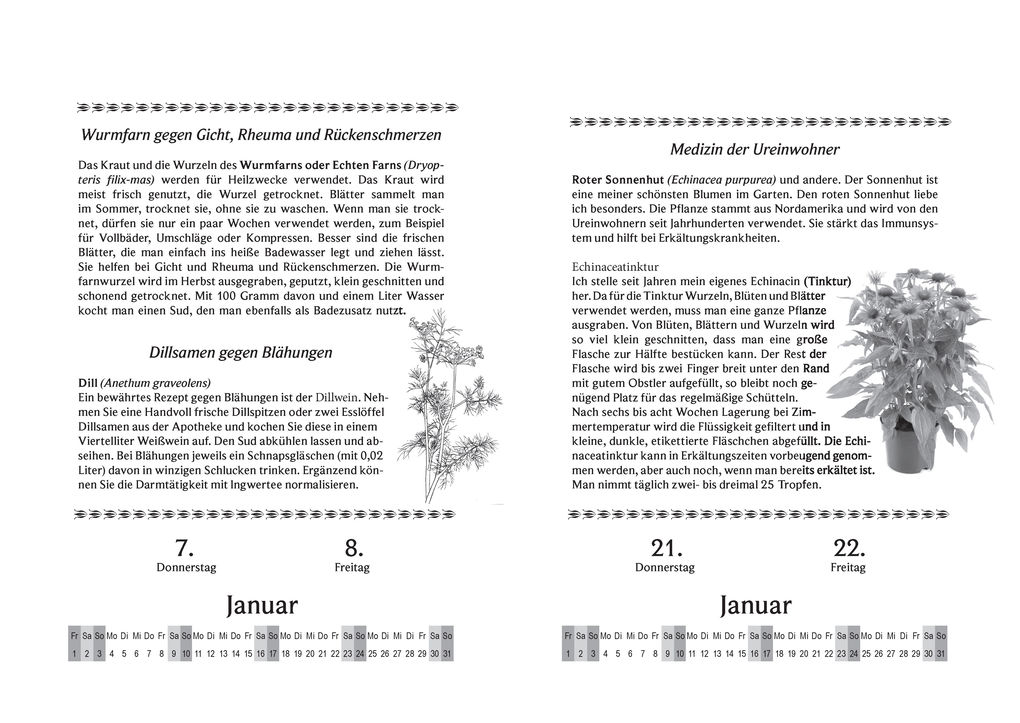 Weitere Ansicht: Liesel Malms Kräuterkalender 2027. Mit der Heilkraft der Natur durchs Jahr | Liesel Malm