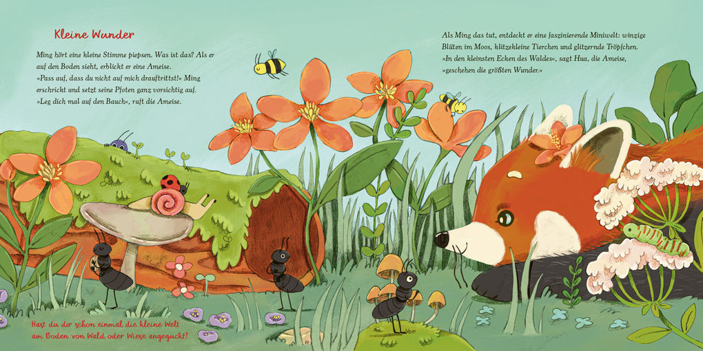 Weitere Ansicht: Der kleine rote Panda und die Achtsamkeit | Aljoscha Long, Ronald Schweppe