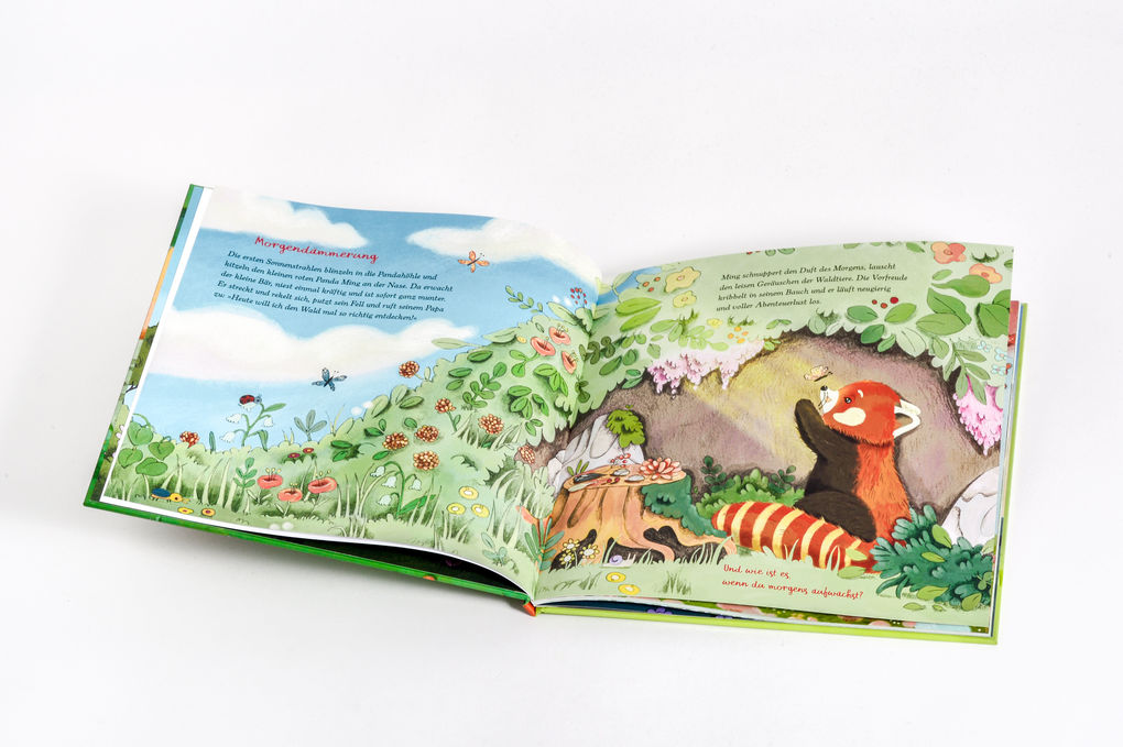 Weitere Ansicht: Der kleine rote Panda und die Achtsamkeit | Aljoscha Long, Ronald Schweppe