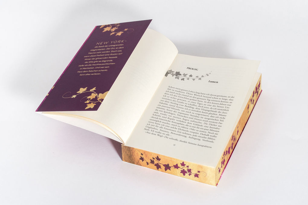 Weitere Ansicht: Ivy League | Ann-Kathrin Falkenberg