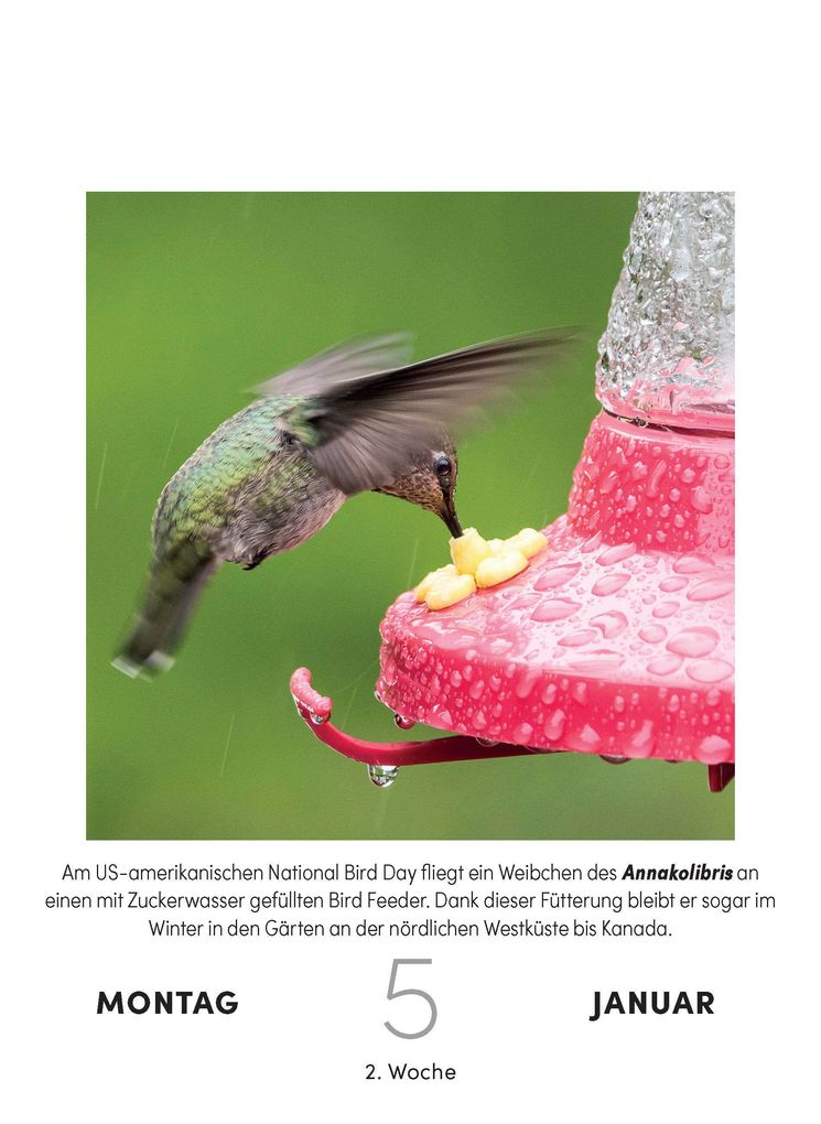 Weitere Ansicht: Vogelkalender 2027 - Tagesabreißkalender zum Aufstellen oder Aufhängen | Herbert Steffny