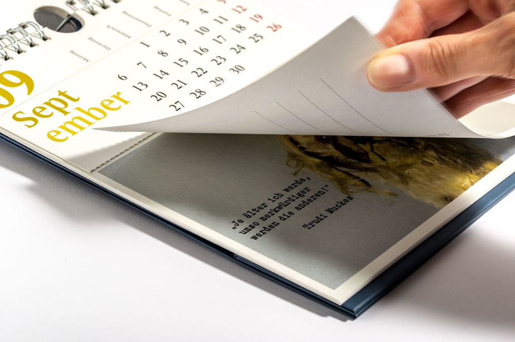 Weitere Ansicht: Verblüffende Wahrheiten - Postkartenkalender 2027 | Elke Moorkamp