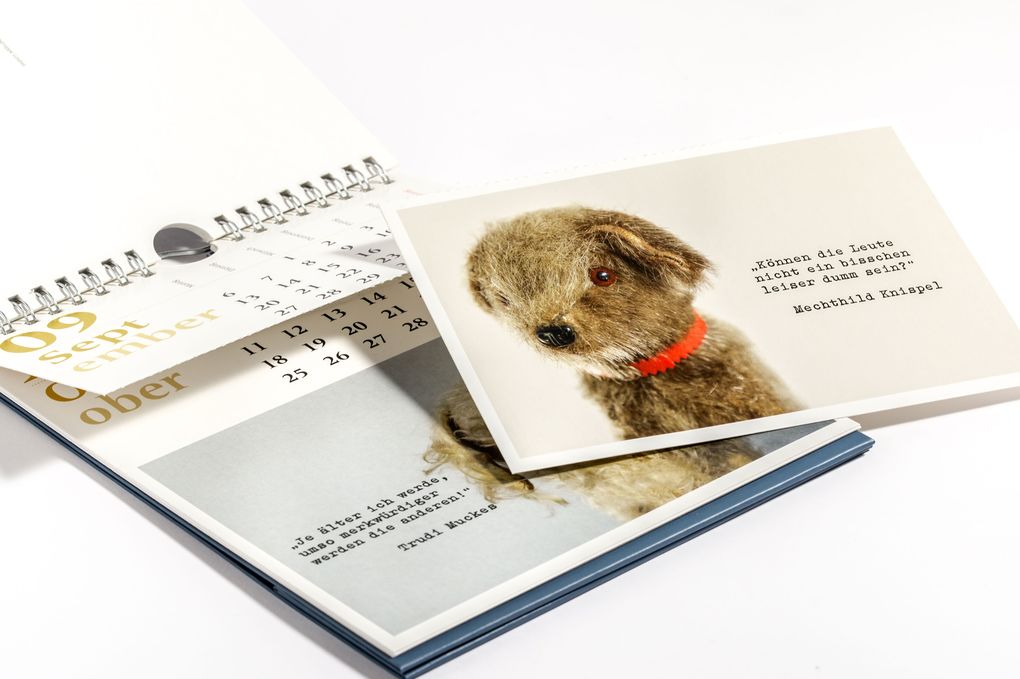 Weitere Ansicht: Verblüffende Wahrheiten - Postkartenkalender 2027 | Elke Moorkamp