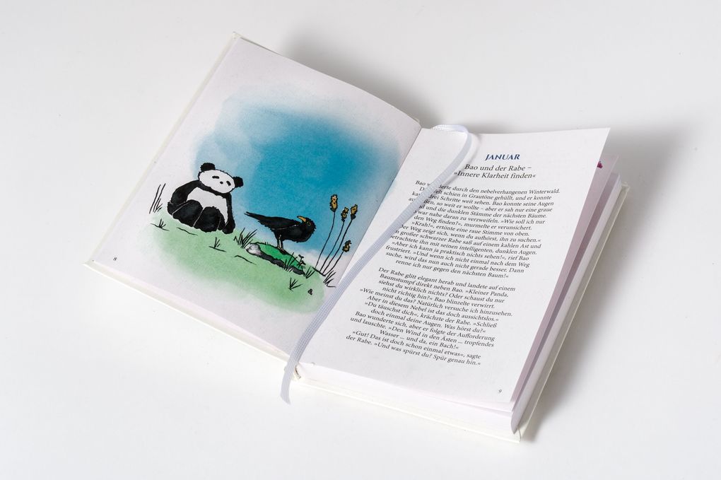 Weitere Ansicht: Mit dem kleinen Panda durch das Jahr 2027 | Aljoscha Long, Ronald Schweppe
