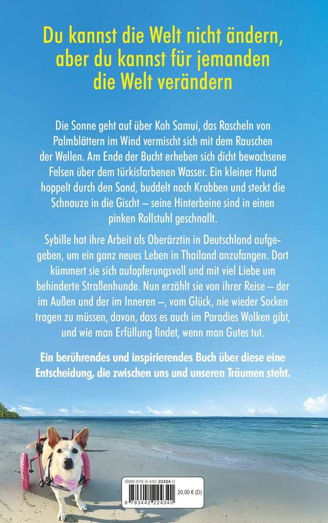 Weitere Ansicht: Pfoten im Sand | Sybille Morch