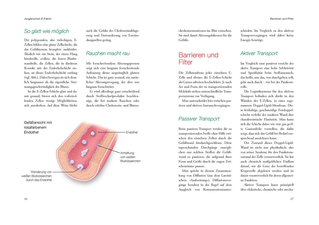 Weitere Ansicht: Länger leben mit gesunden Gefäßen | Martin Halle