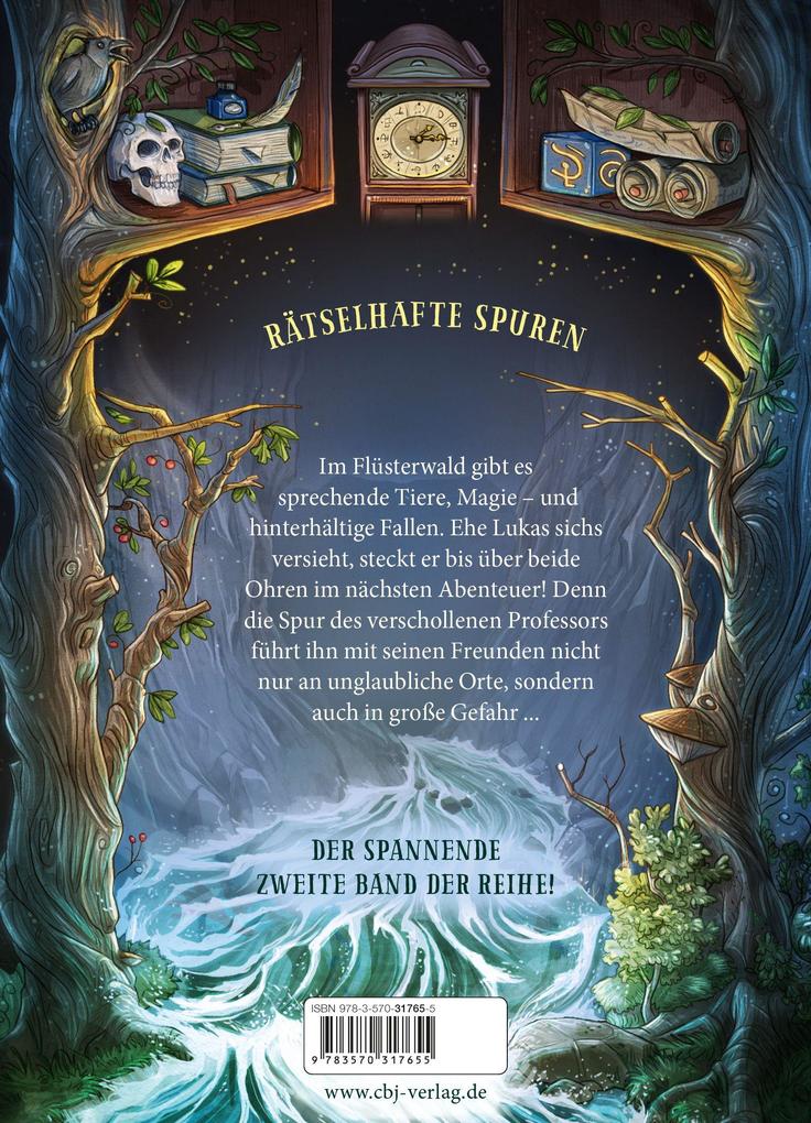 Weitere Ansicht: Flüsterwald | Andreas Suchanek