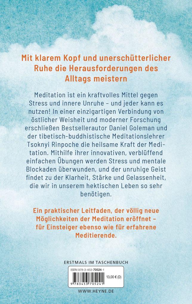 Weitere Ansicht: Meditieren | Daniel Goleman, Tsoknyi Rinpoche