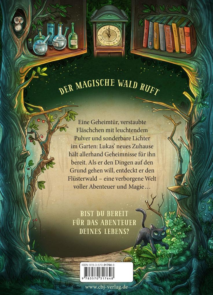 Weitere Ansicht: Flüsterwald | Andreas Suchanek