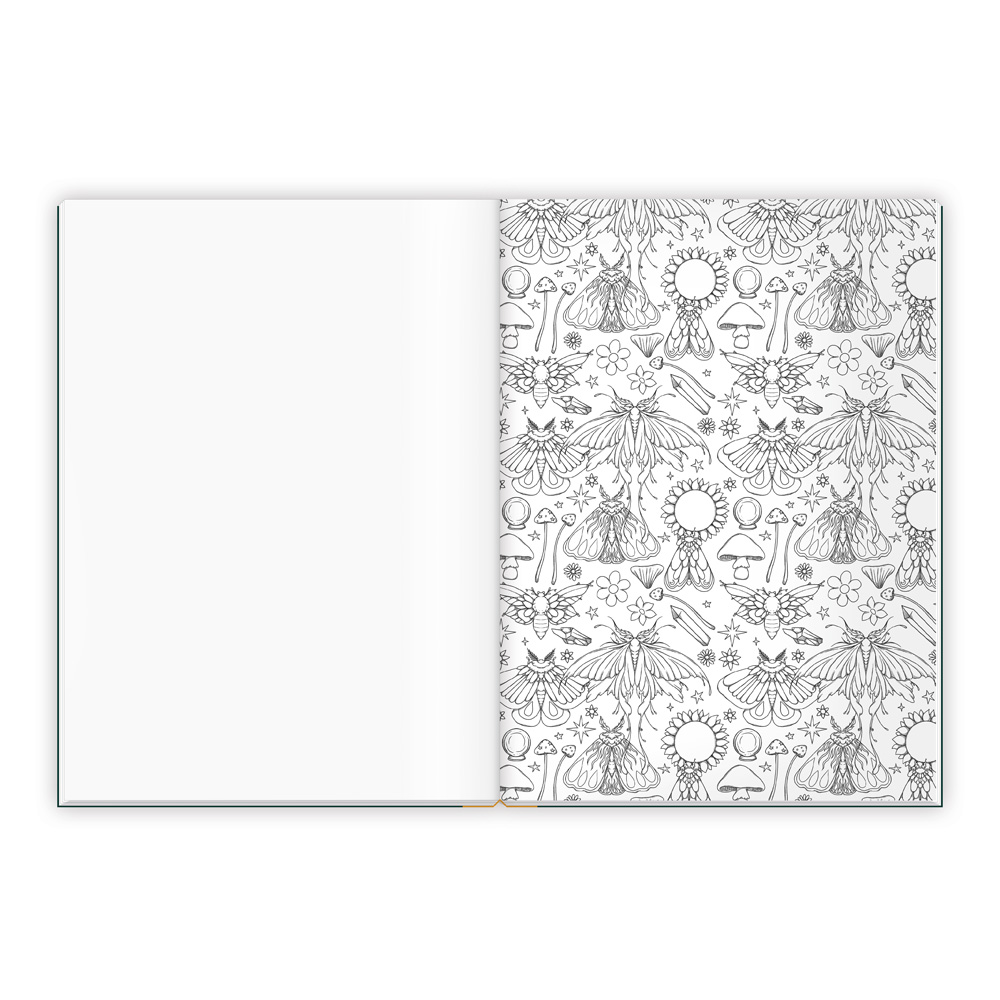 Weitere Ansicht: TRÖTSCH - Malbuch Entspanntes Malen Zauberwald