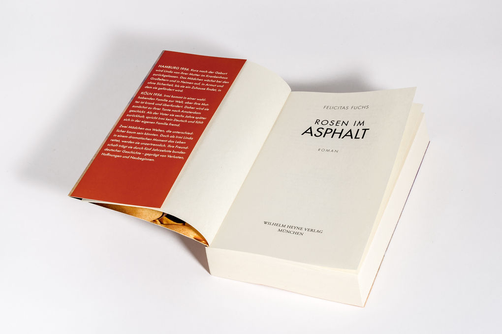 Weitere Ansicht: Rosen im Asphalt | Felicitas Fuchs