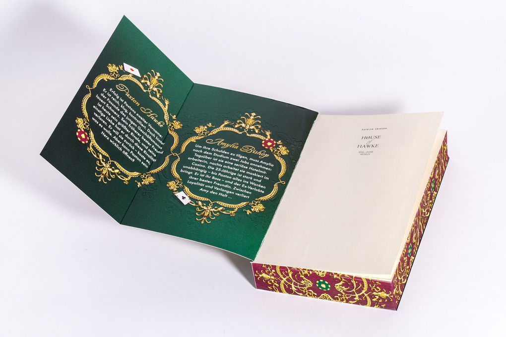 Weitere Ansicht: House of Hawke - Spiel ohne Regeln | Katelyn Erikson