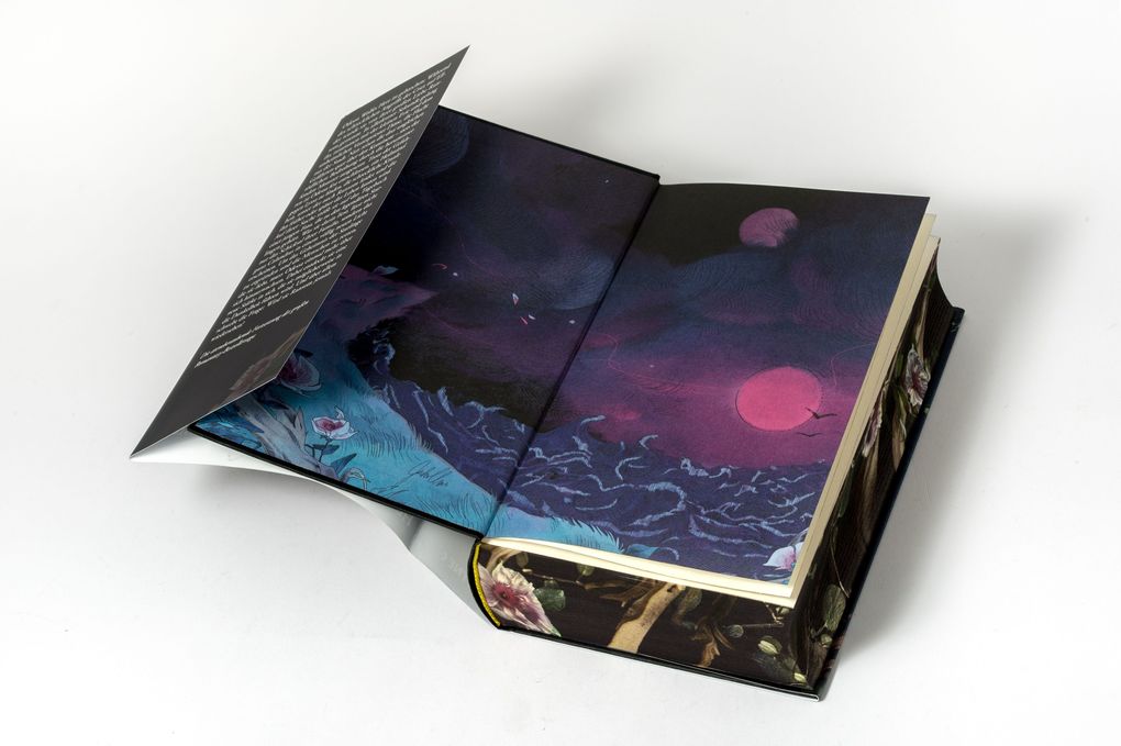 Weitere Ansicht: Rites of the Starling | Devney Perry