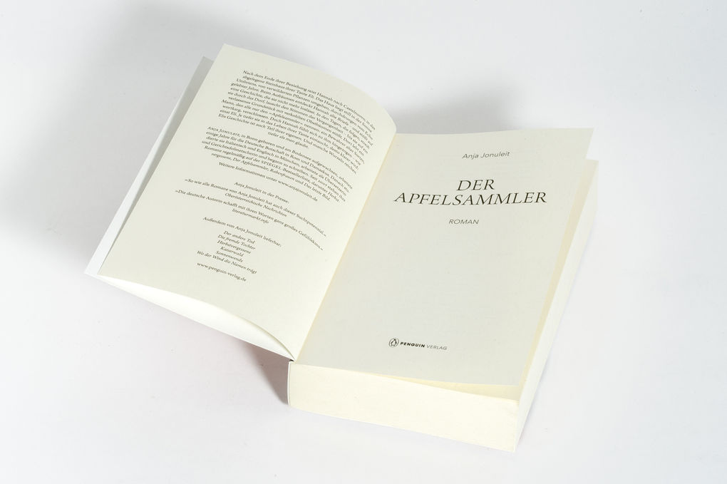 Weitere Ansicht: Der Apfelsammler | Anja Jonuleit