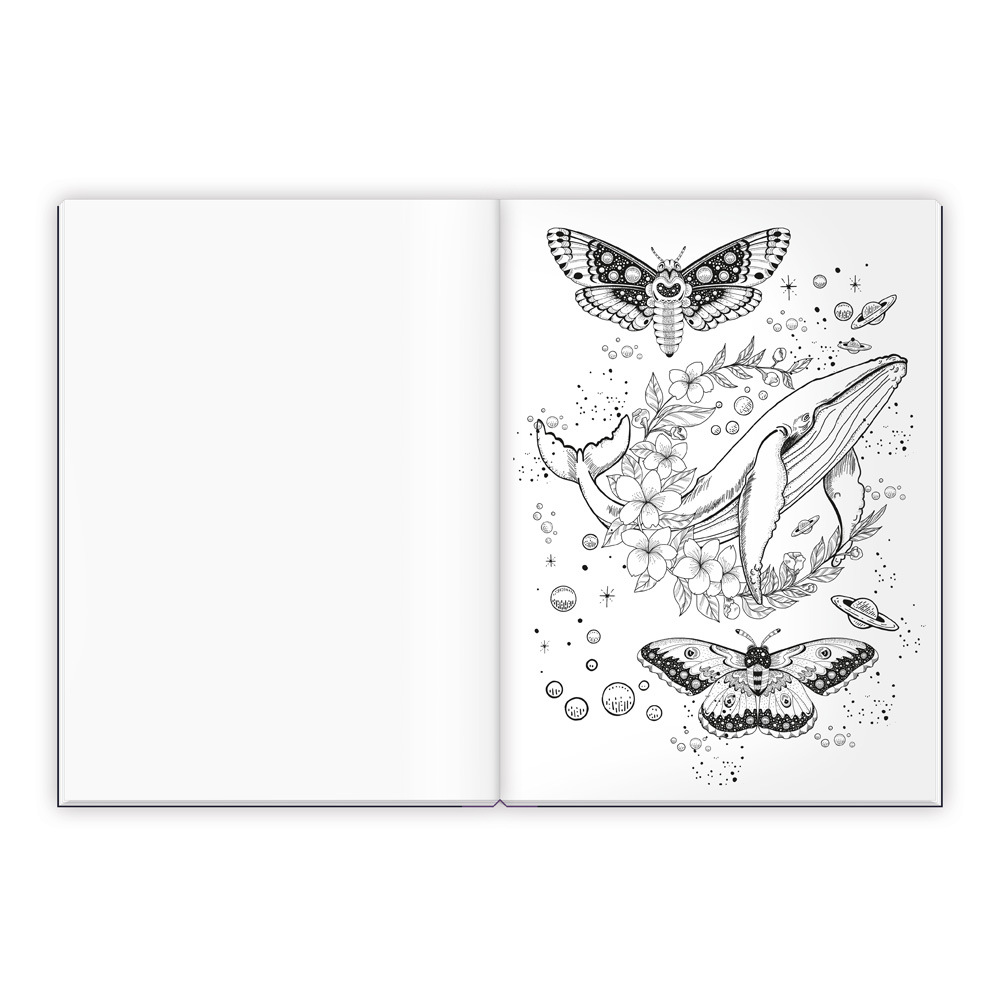 Weitere Ansicht: TRÖTSCH - Malbuch Entspanntes Malen Traumwelten