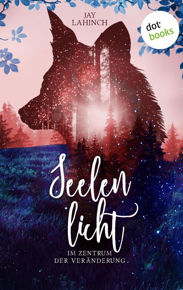 Produktbild: Seelenlicht: Im Zentrum der Veränderung | Jay Lahinch