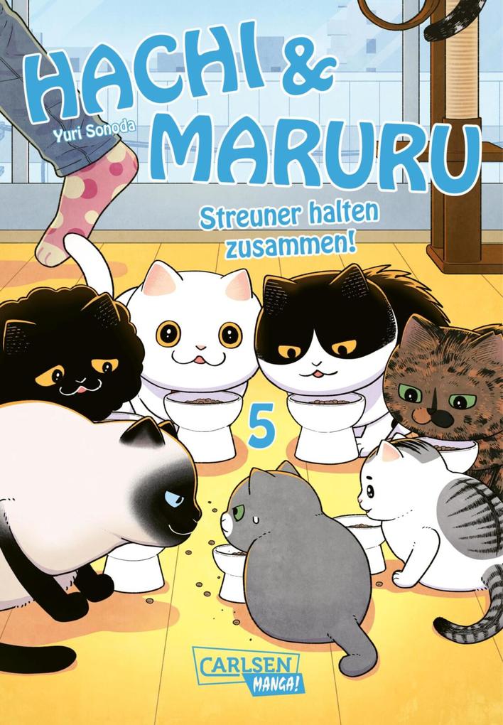Produktbild: Hachi & Maruru - Streuner halten zusammen! 5 | Yuri Sonoda