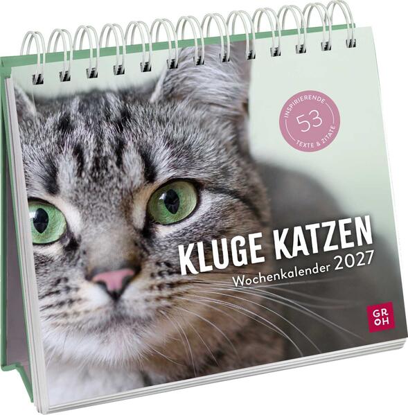 Produktbild: Wochenkalender 2027: Kluge Katzen