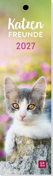 Produktbild: Lesezeichenkalender 2027: Katzenfreunde