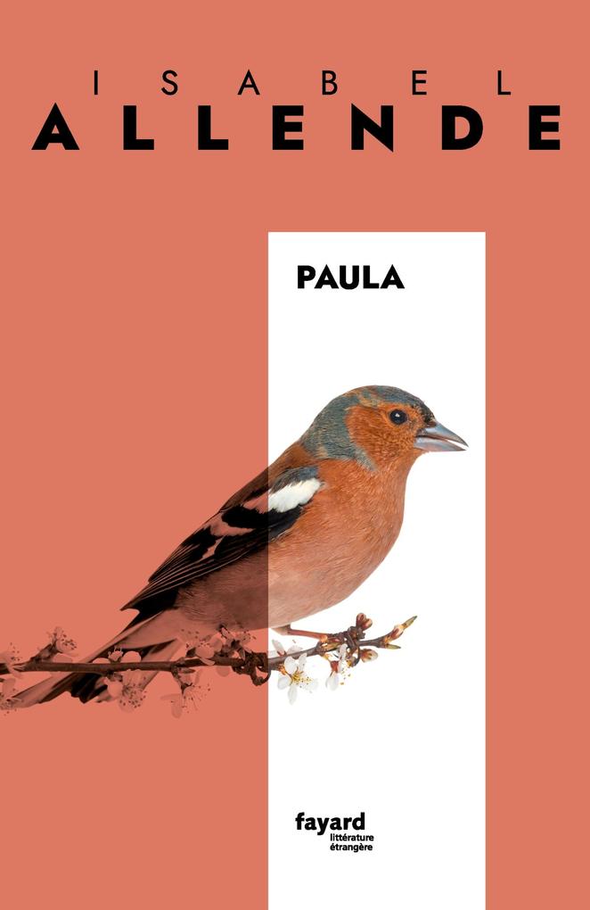 Produktbild: Paula | Isabel Allende