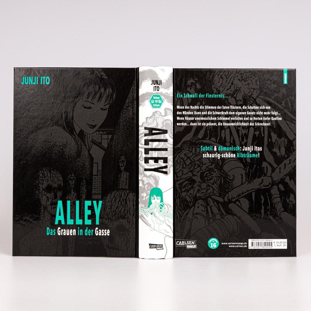 Weitere Ansicht: Alley | Junji Ito