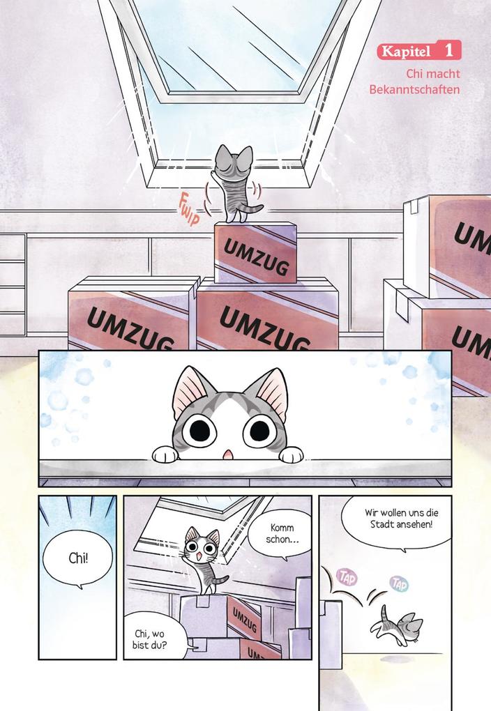 Weitere Ansicht: Kleine Katze Chi in Frankreich | Konami Kanata