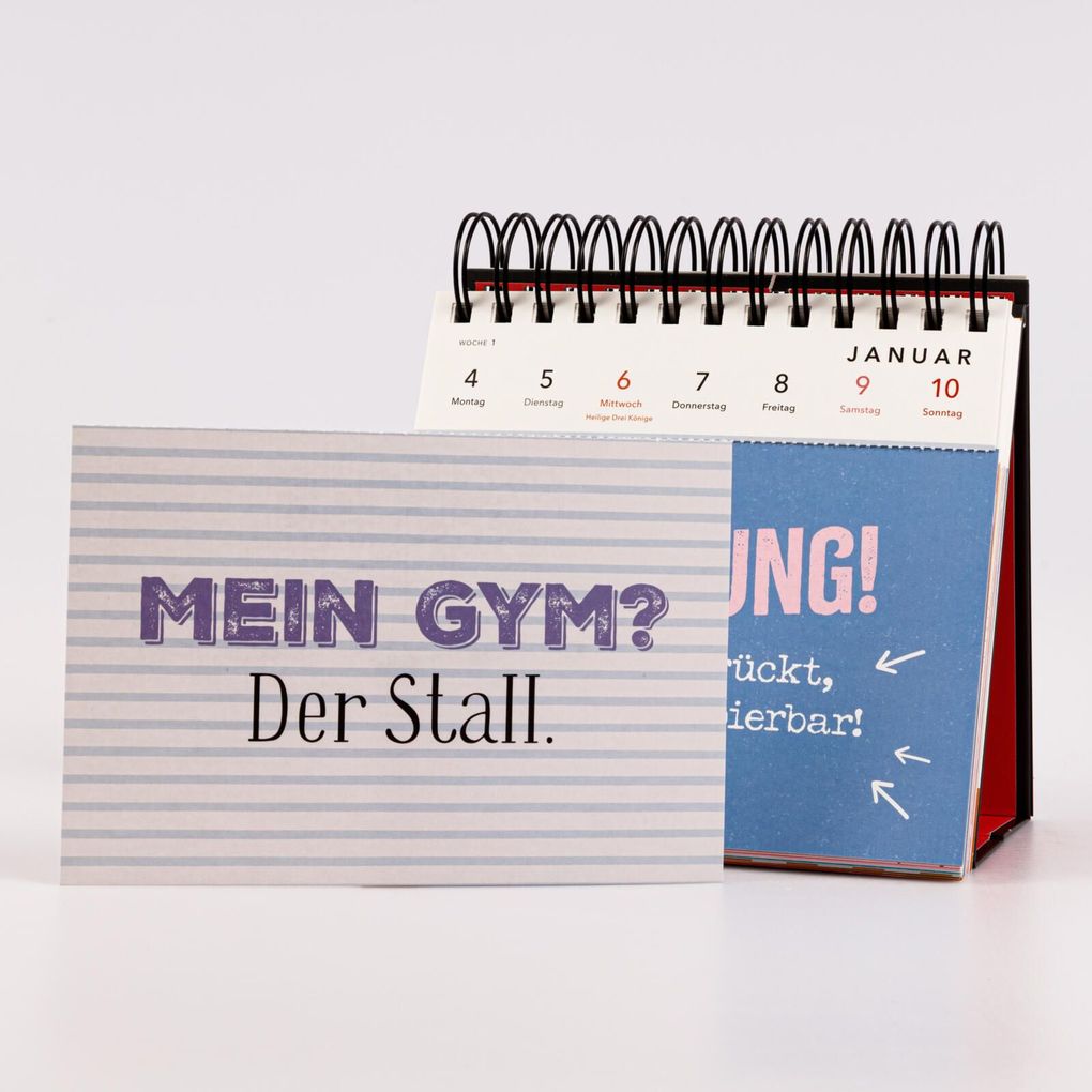 Weitere Ansicht: Pferdemädchen 2027 - Zum Reiten geboren, zum Ausmisten verdammt.