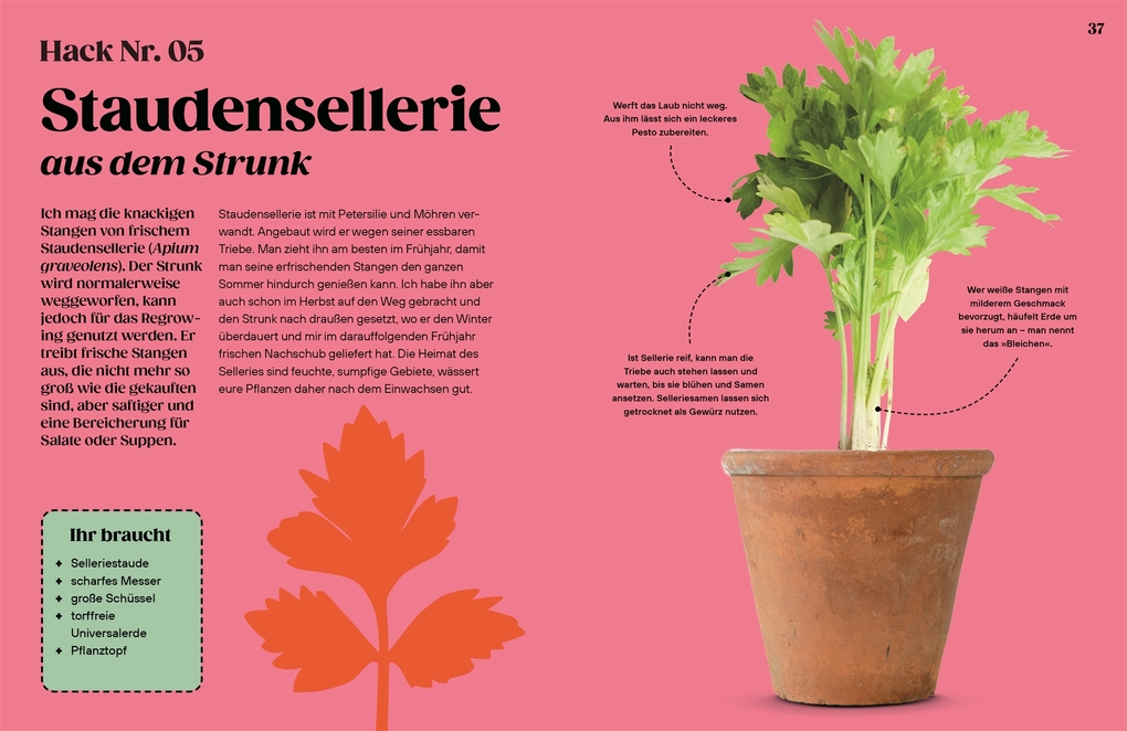 Weitere Ansicht: Regrow | Simon Akeroyd