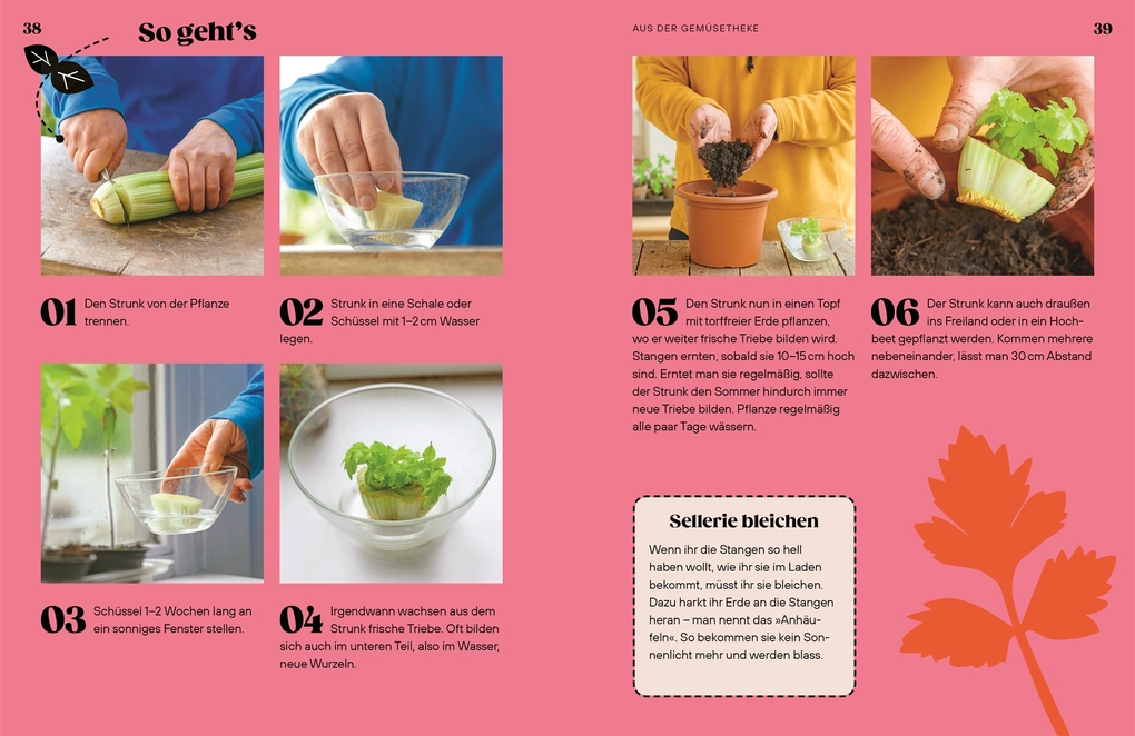 Weitere Ansicht: Regrow | Simon Akeroyd