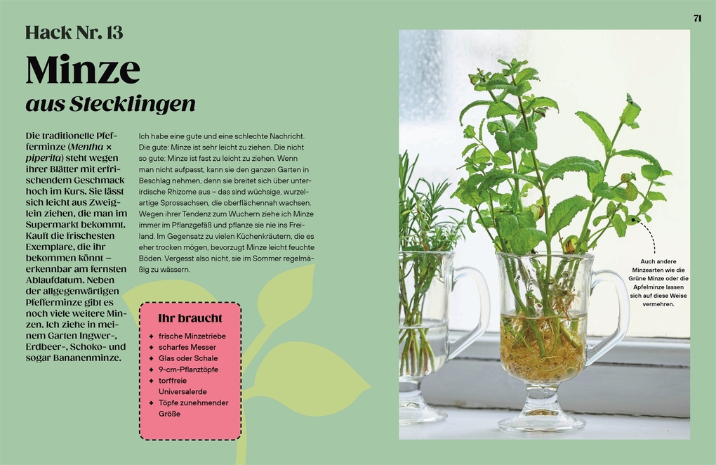 Weitere Ansicht: Regrow | Simon Akeroyd