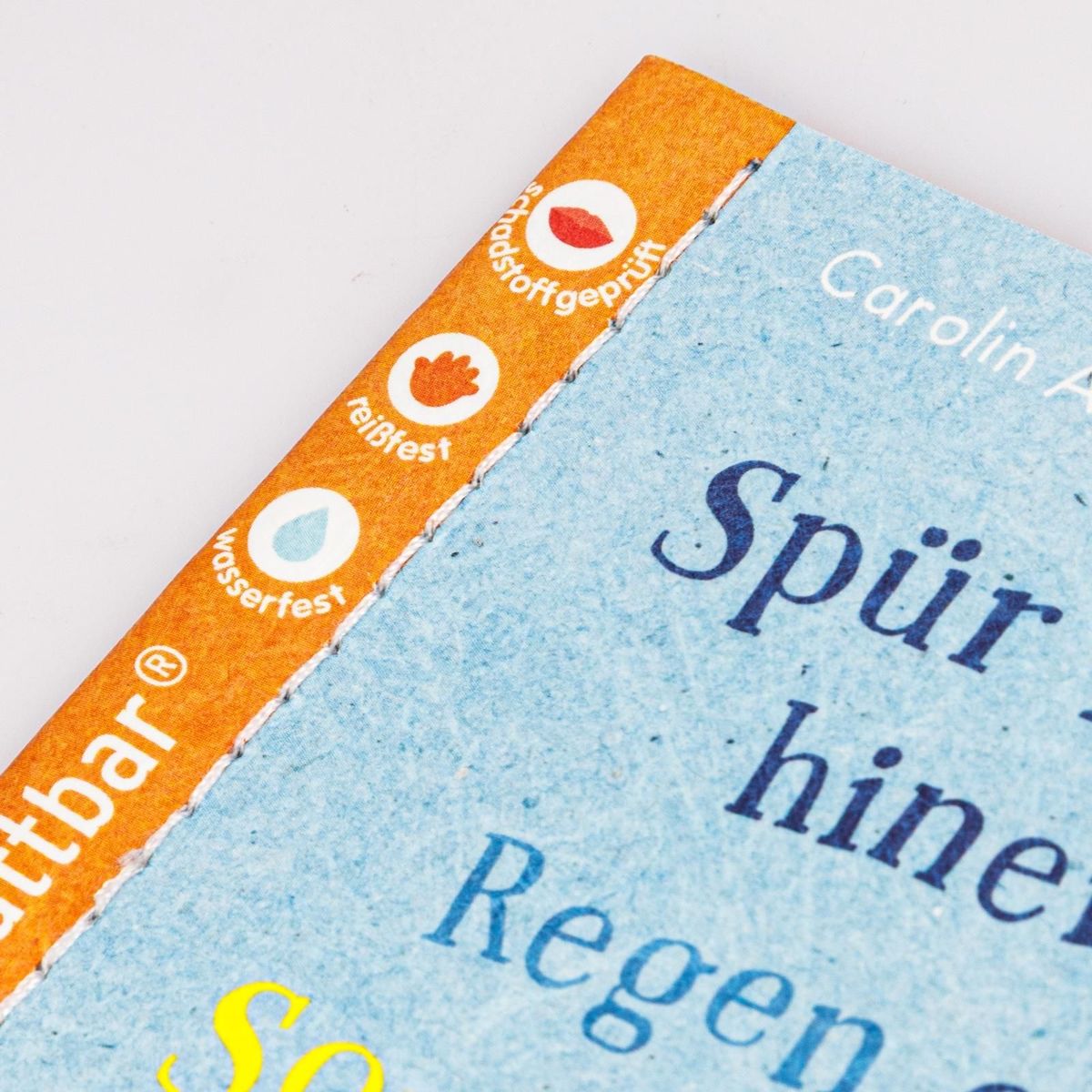 Weitere Ansicht: Baby Pixi (unkaputtbar) 176: Spür in dich hinein: Regen oder Sonnenschein? | Carolin Altenbach