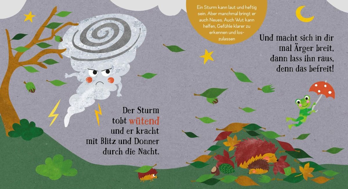 Weitere Ansicht: Baby Pixi (unkaputtbar) 176: Spür in dich hinein: Regen oder Sonnenschein? | Carolin Altenbach