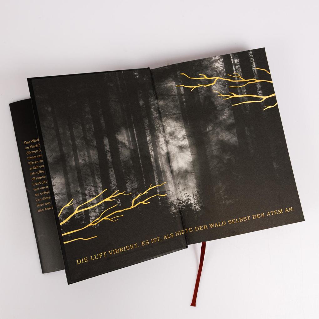 Weitere Ansicht: The Wolf King (Wolf King 1) | Lauren Palphreyman