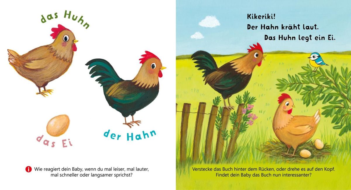 Weitere Ansicht: Baby Pixi (unkaputtbar) 179: Mein Baby-Pixi-Buggybuch: Allererste Wörter: Meine Tiere | Enni Bollin