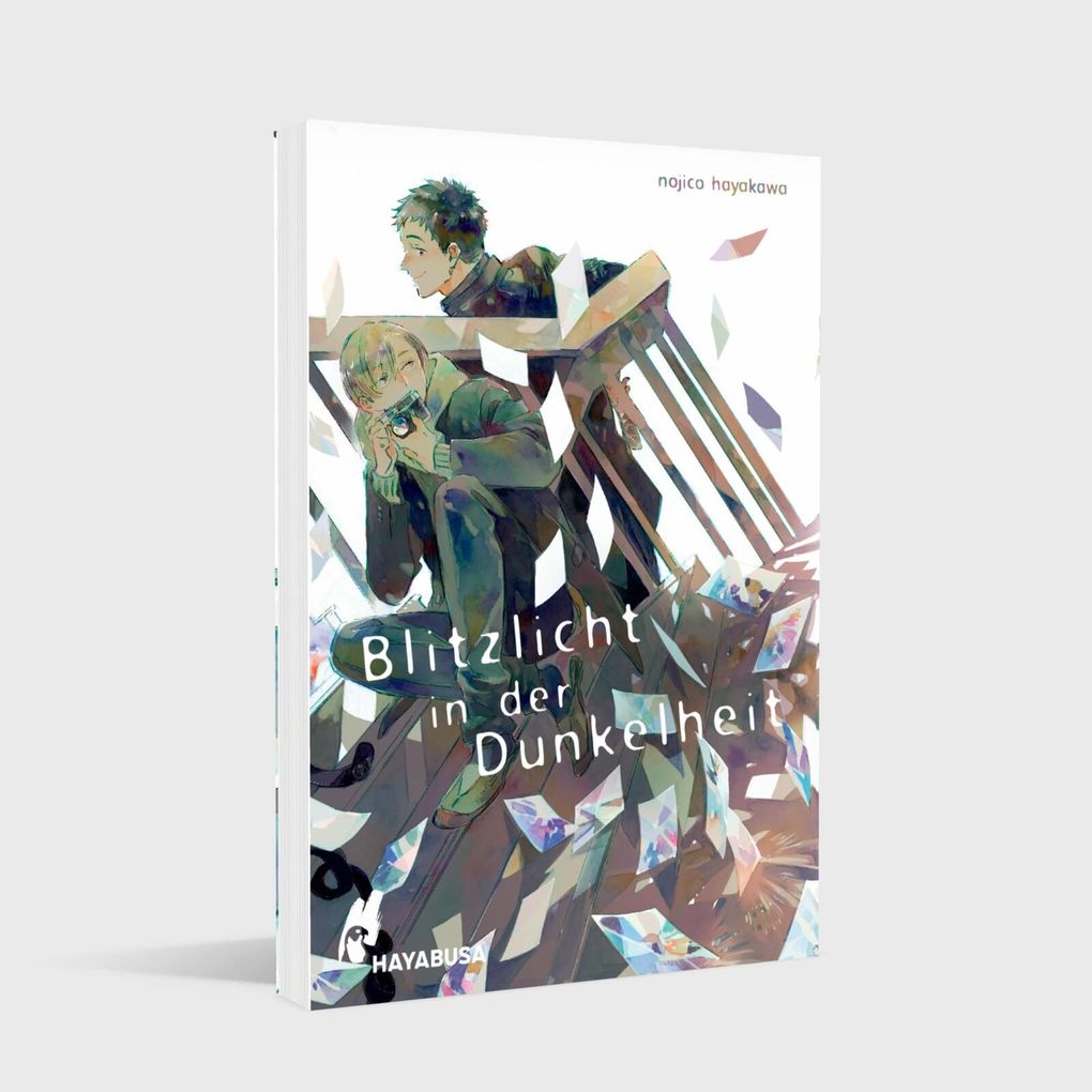 Weitere Ansicht: Blitzlicht in der Dunkelheit | Nojico Hayakawa