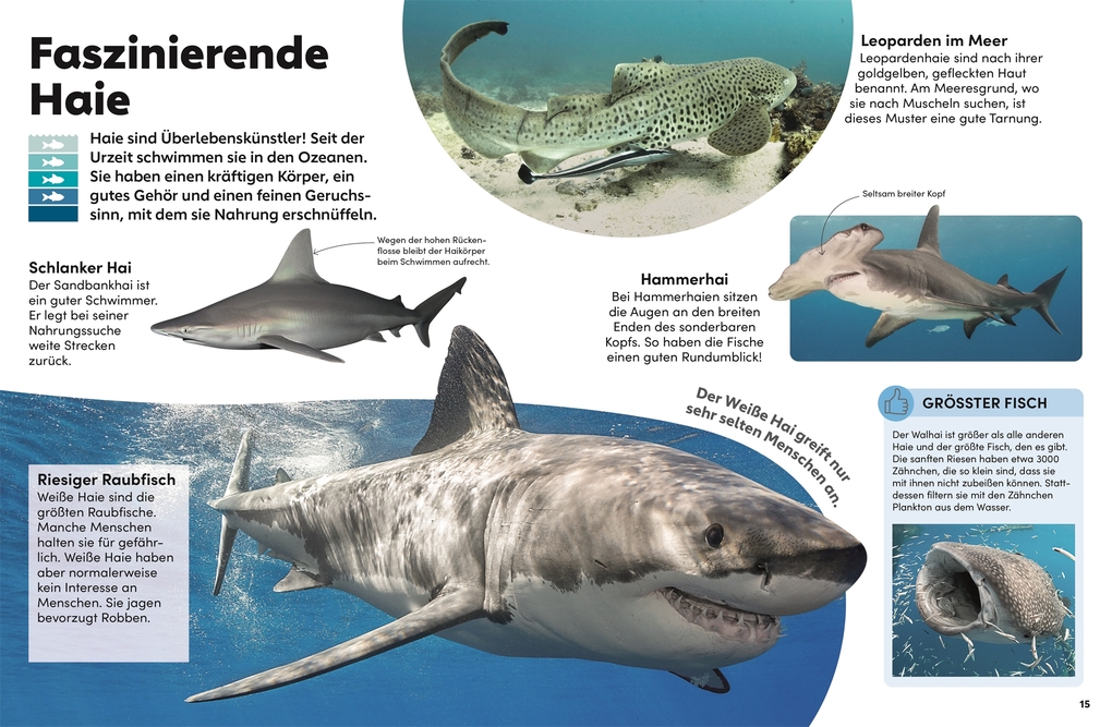 Weitere Ansicht: memo Wissen Kids. Das Meer