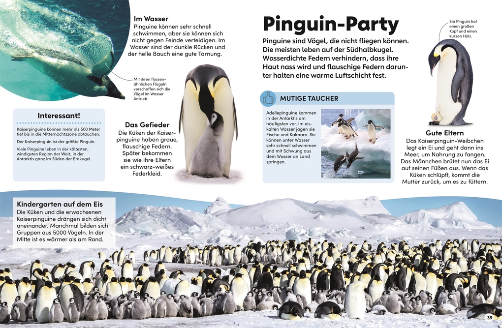 Weitere Ansicht: memo Wissen Kids. Das Meer