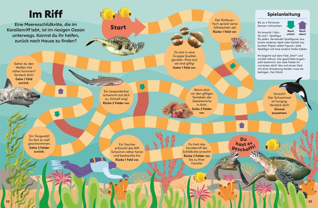 Weitere Ansicht: memo Wissen Kids. Das Meer