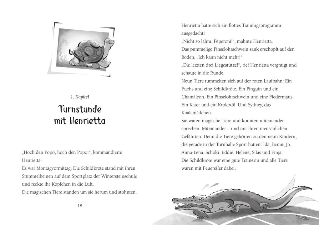 Weitere Ansicht: Die Schule der magischen Tiere Neuausgabe 5: Top oder Flop! | Margit Auer