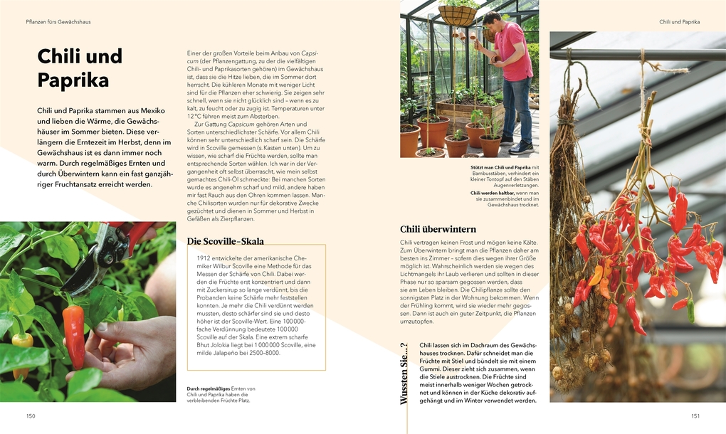 Weitere Ansicht: Alles im Gewächshaus | Tom Brown