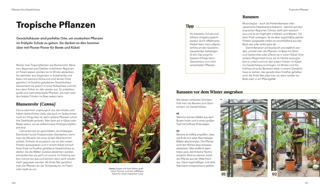 Weitere Ansicht: Alles im Gewächshaus | Tom Brown