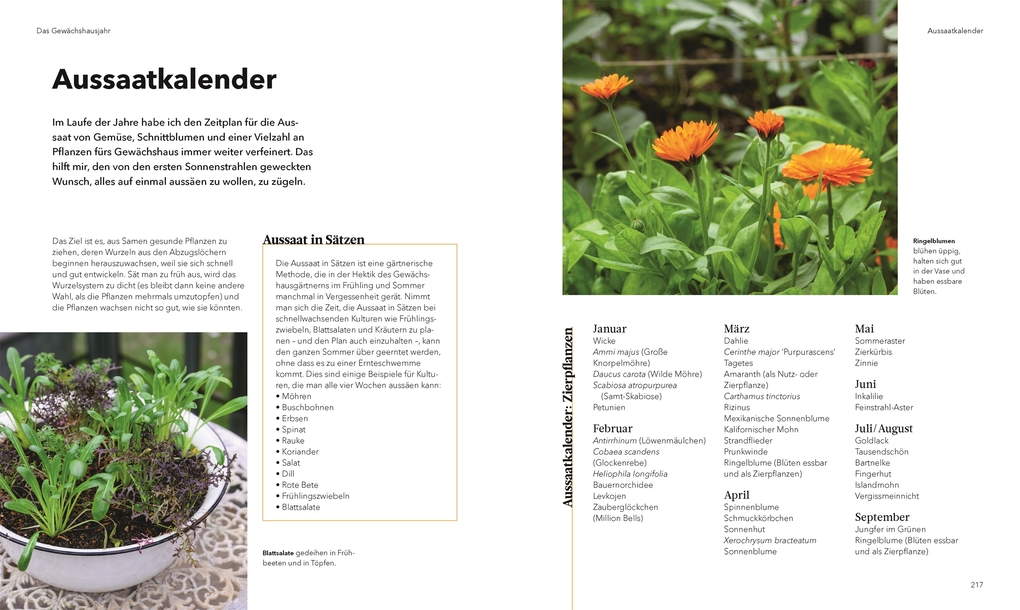 Weitere Ansicht: Alles im Gewächshaus | Tom Brown