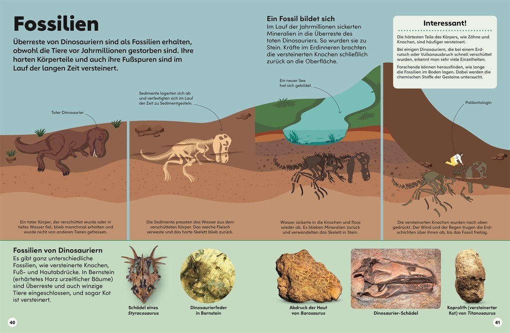 Weitere Ansicht: memo Wissen Kids. Dinosaurier