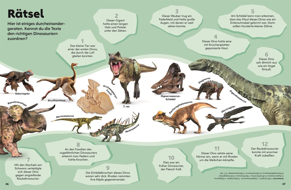 Weitere Ansicht: memo Wissen Kids. Dinosaurier